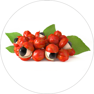 Guarana